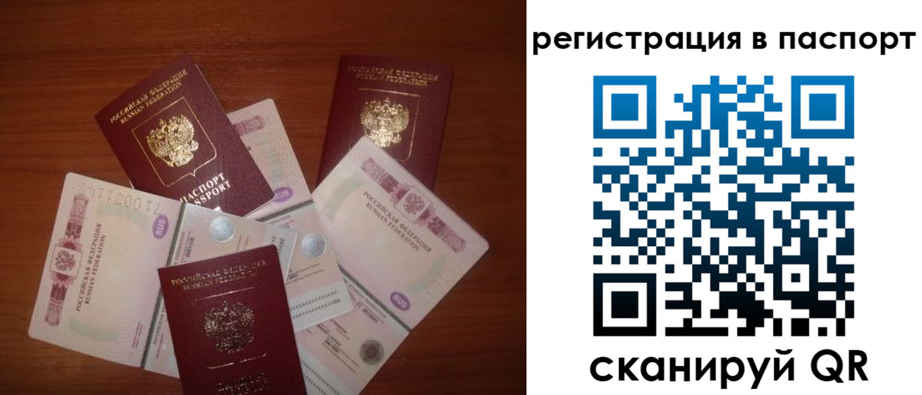 временная регистрация поиск в Костромской области